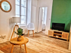 Appartement centre d'Orléans en bord de Loire